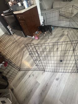 PET play pen 48x30