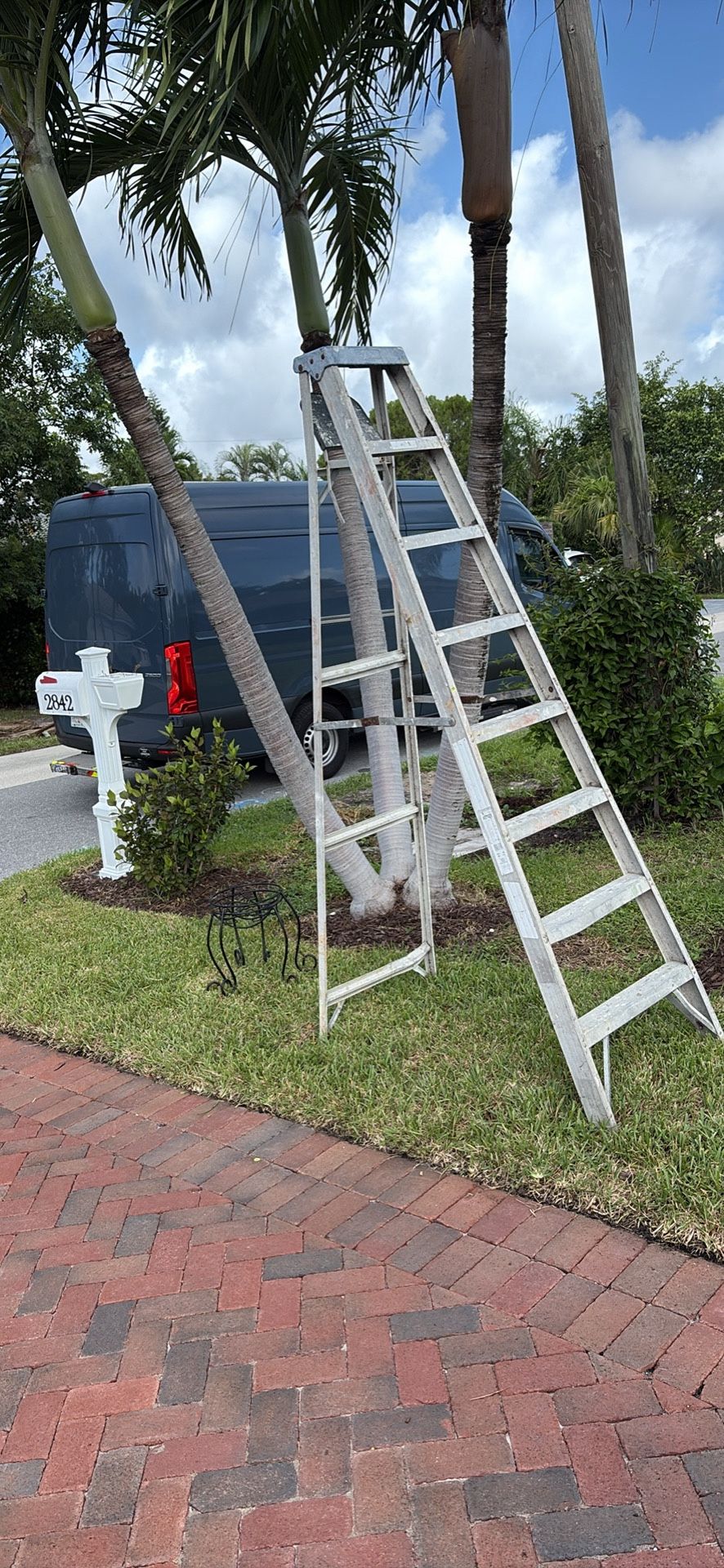 8 Foot Ladder