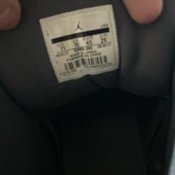 Jordan 12 gray wolf’s