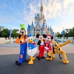 Disney world