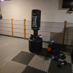 Everlast POWERCORE Punching Bag