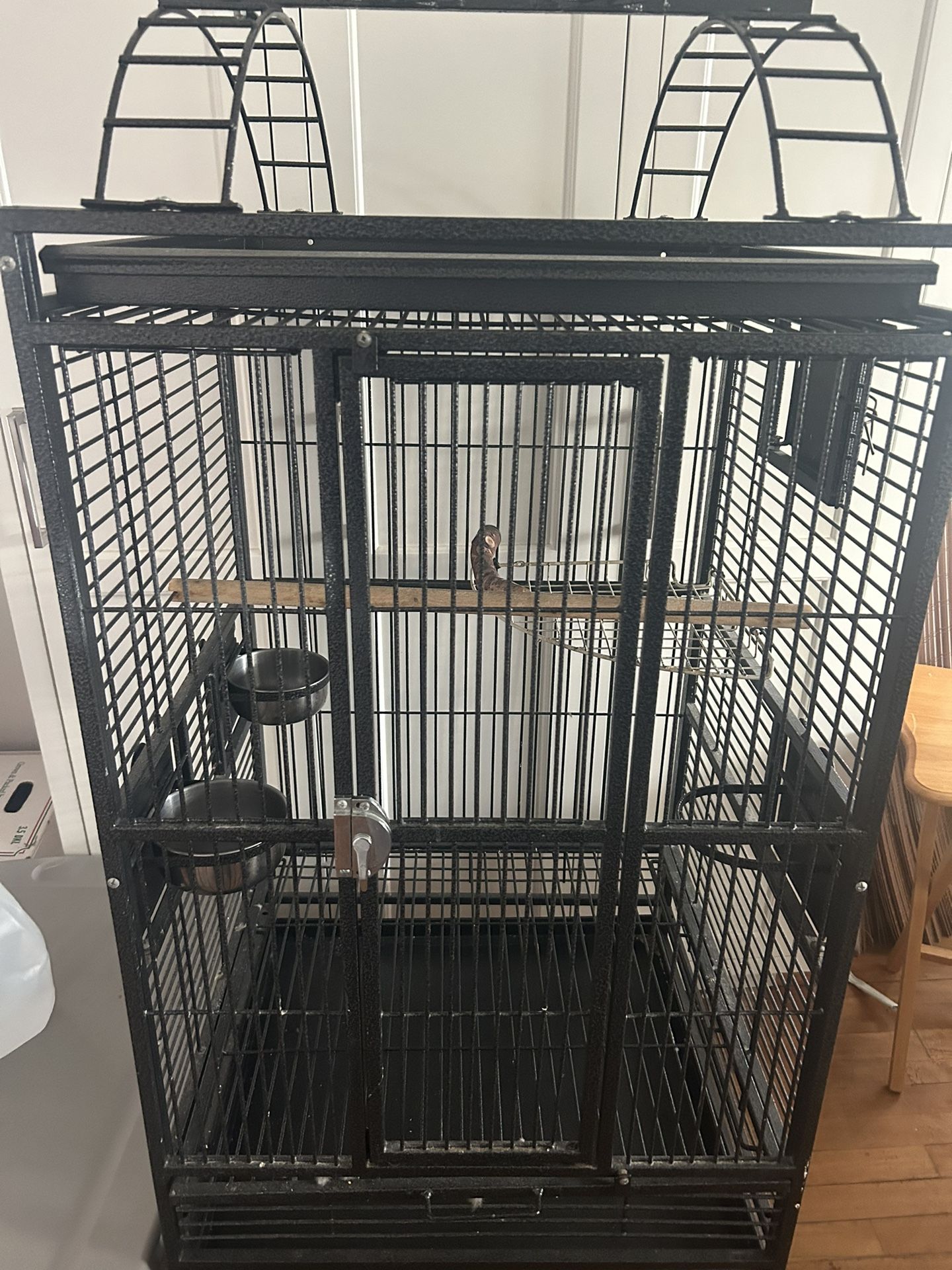 Birdcage