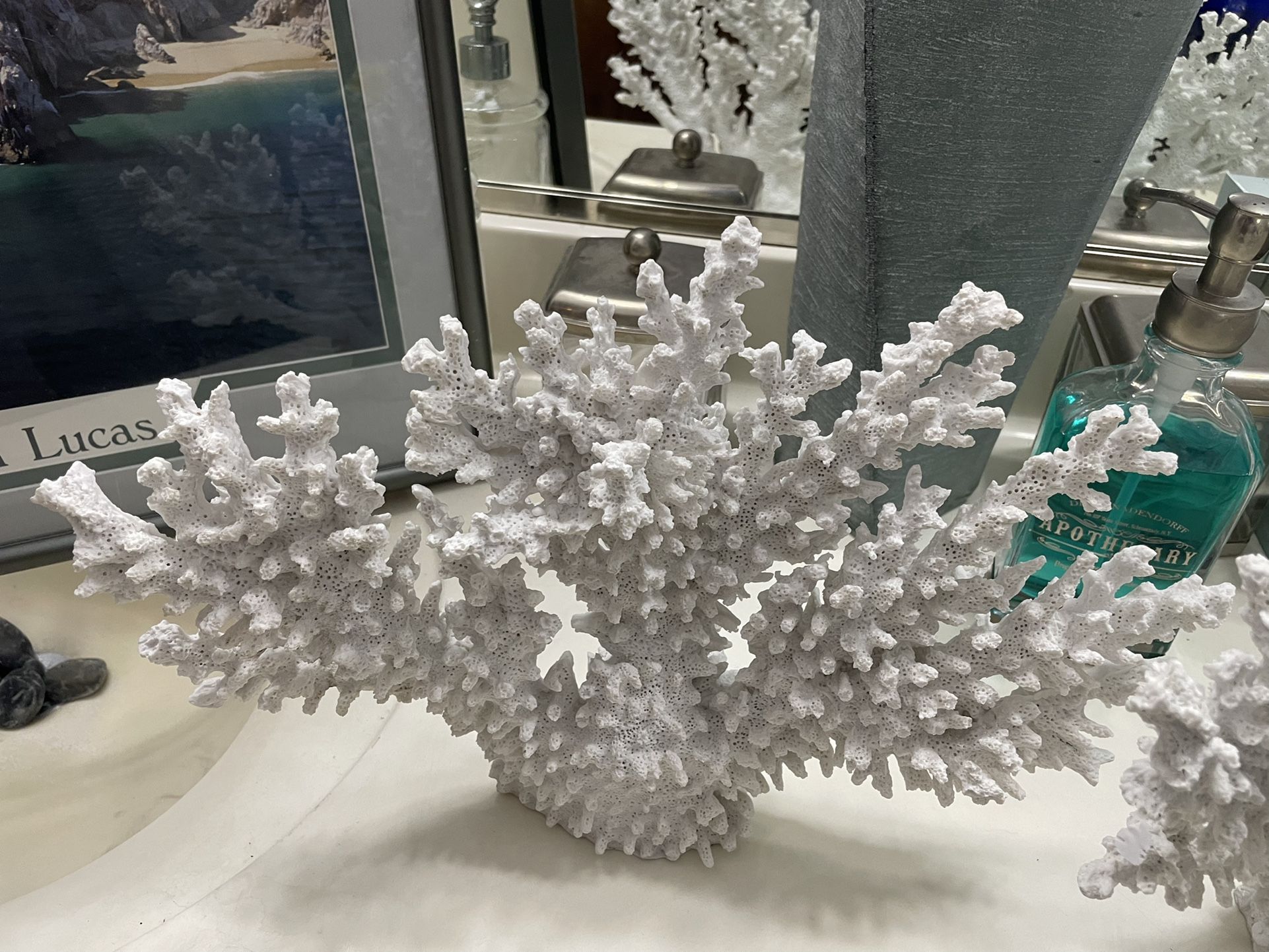 Beautiful White Coral Reef Decor Set Of 2