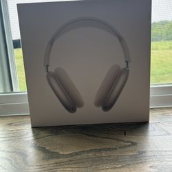 Apple AirPod Pro Maxes