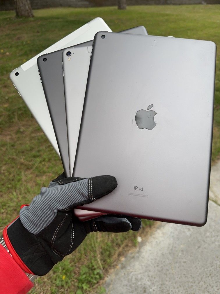 iPads 5 / 6 / 8 / Pro
