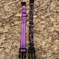 Two Dog Collars