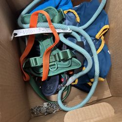 various items for medium and small dogs
