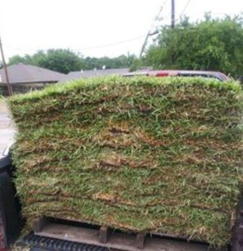Grass Pallets