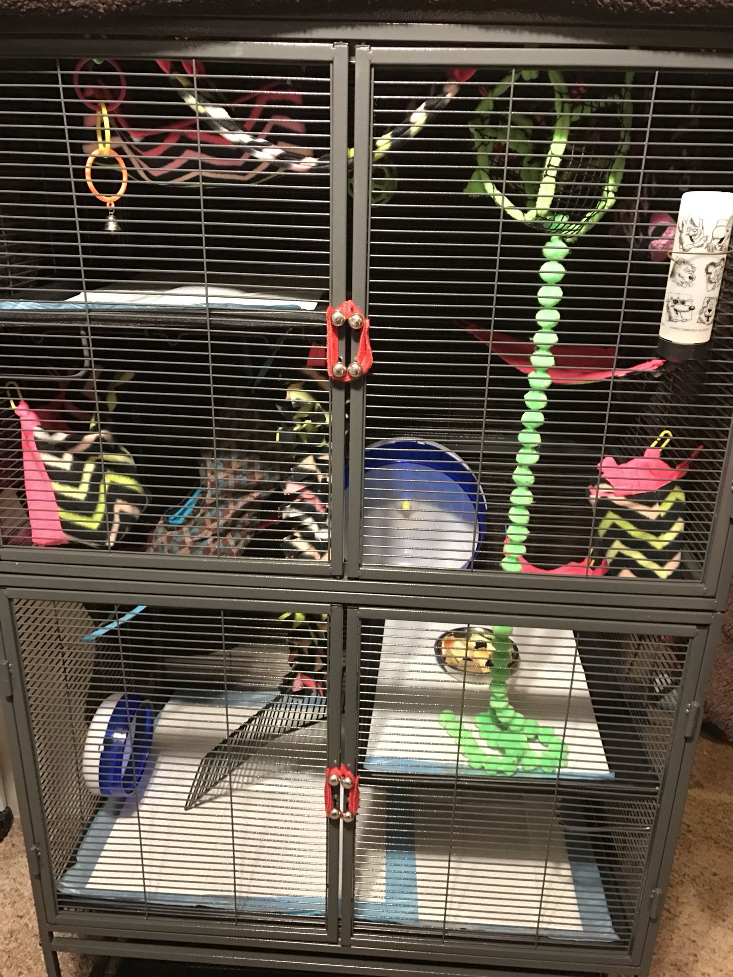 Critter nation cage
