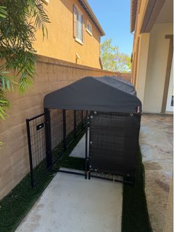 Dog Kennel