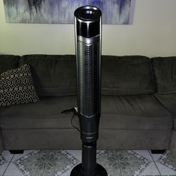 Fan