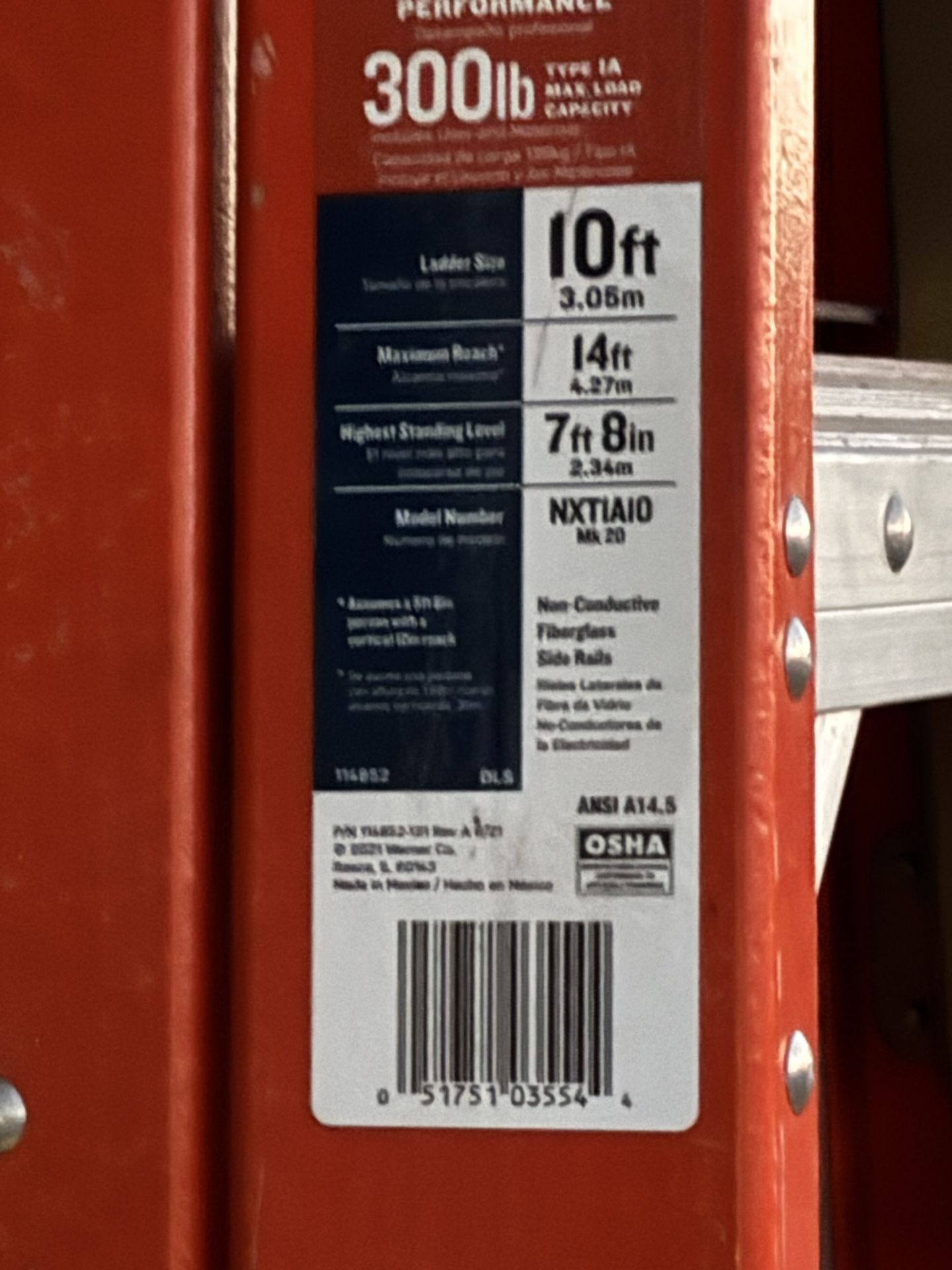 Werner Professional Performance 10ft Ladder