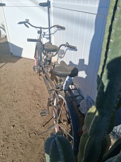 Beach cruiser. Beautiful bike.