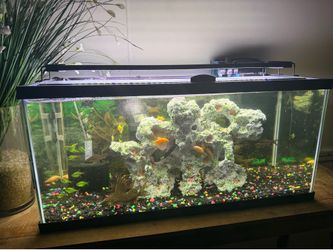 Fish tank 55 gallon￼