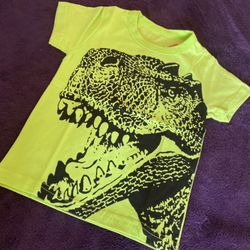 New Boys Dinosaur Tshirt 