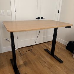 Electric Standing Desk (48” x 30”) - Dual Motor - Memory Presets