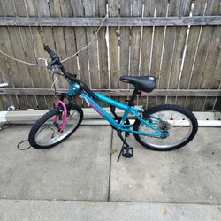 Byte Mongoose Bike