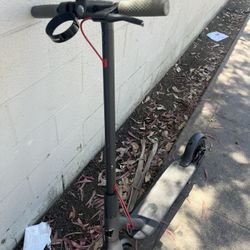 Electric Scooter 