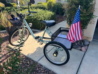 3 wheeler bicycle with ALL the accessories 🥰