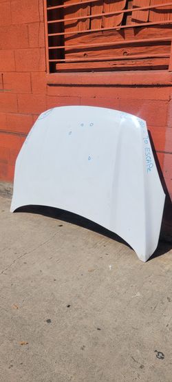 2020 ford escape hood