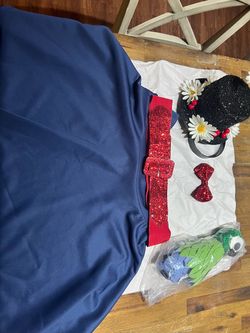 Mary Poppins Costume