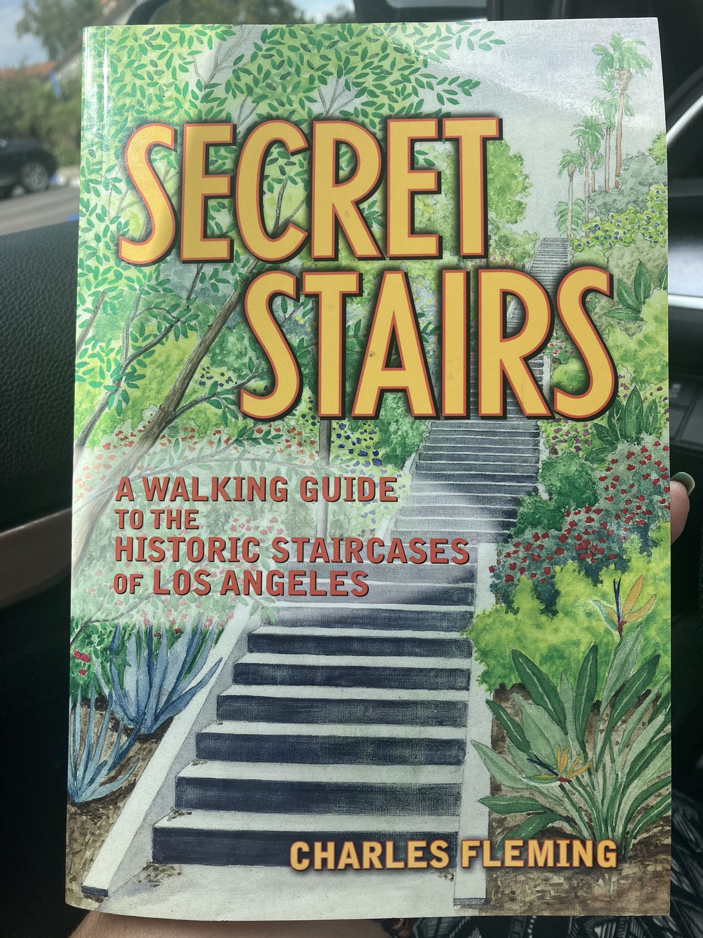 Secret Stairs Book 