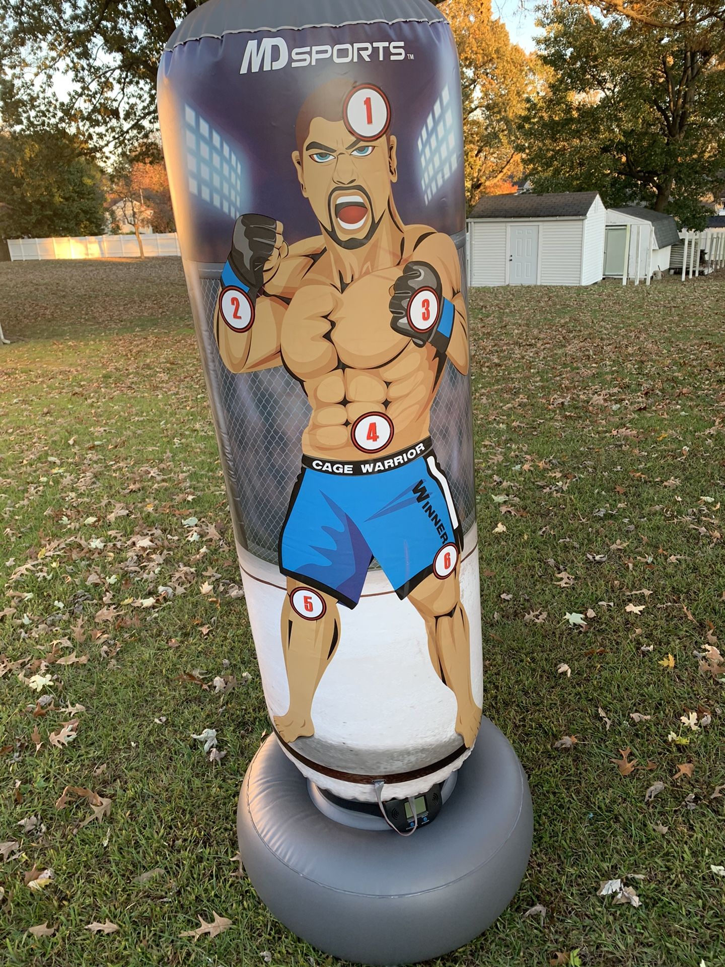 Inflatable Electronic Punching Bag