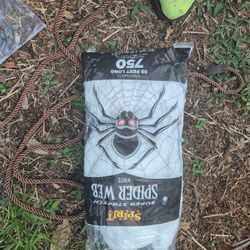 Spider Web For Holloweeen