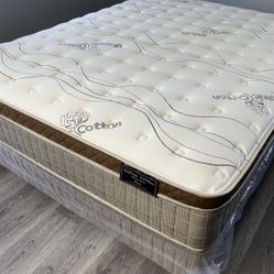 Queen Organic Cloud Edition Europillow Top 12inch Matres!