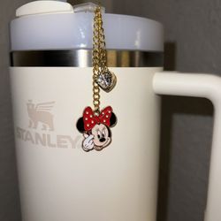 Stanley Disney Charm 
