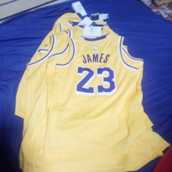 Size S M L Xl Nike Lebron Jersey