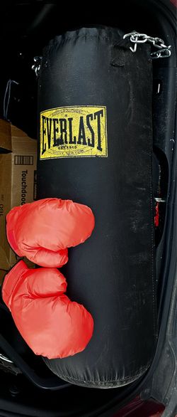 Everlast 100 Lb Hanging Bag W/ Chains And Gloves