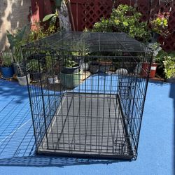 EveryYay Ultra Tough 1-Door Folding Dog Crate, X-Large, 42" L X 28" W X 30.5" H,