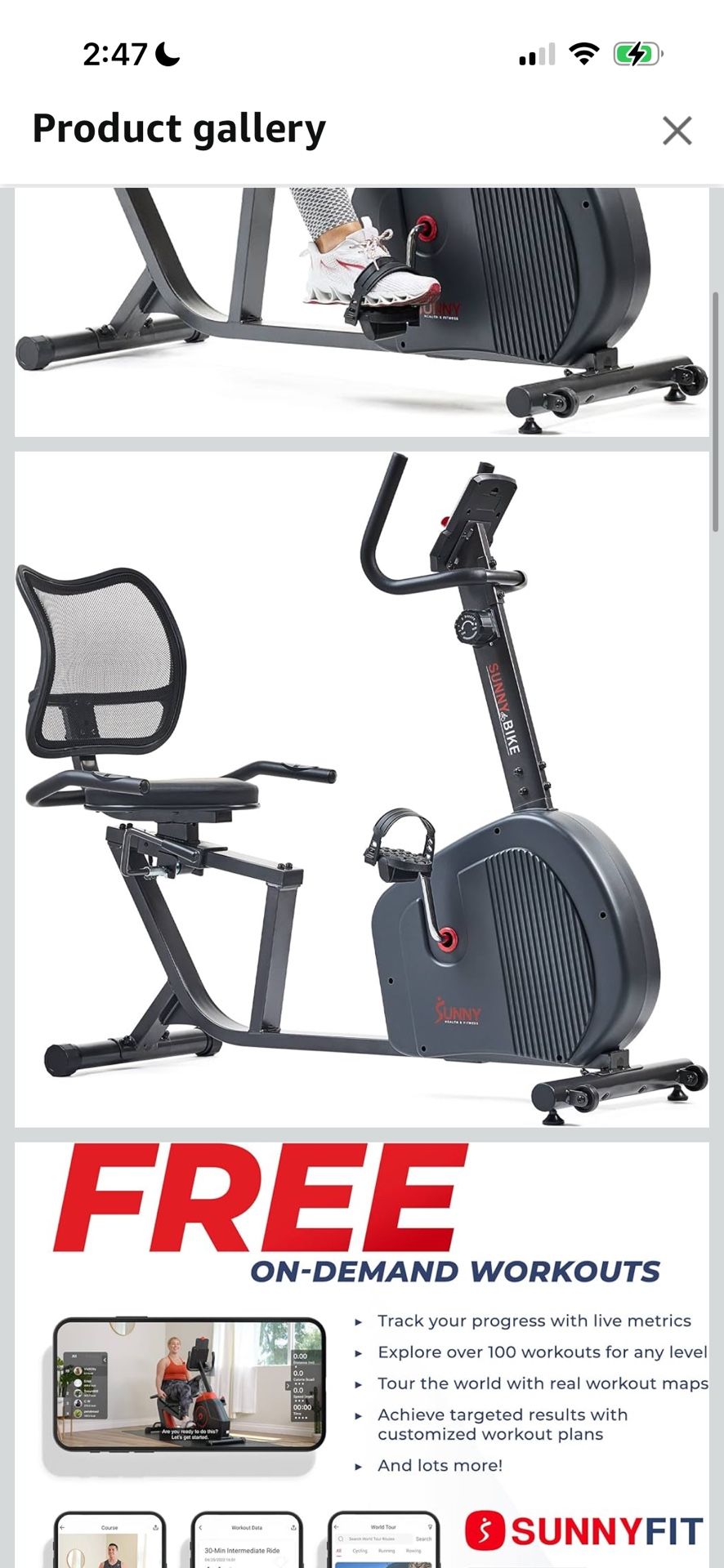 Recumbent Bike