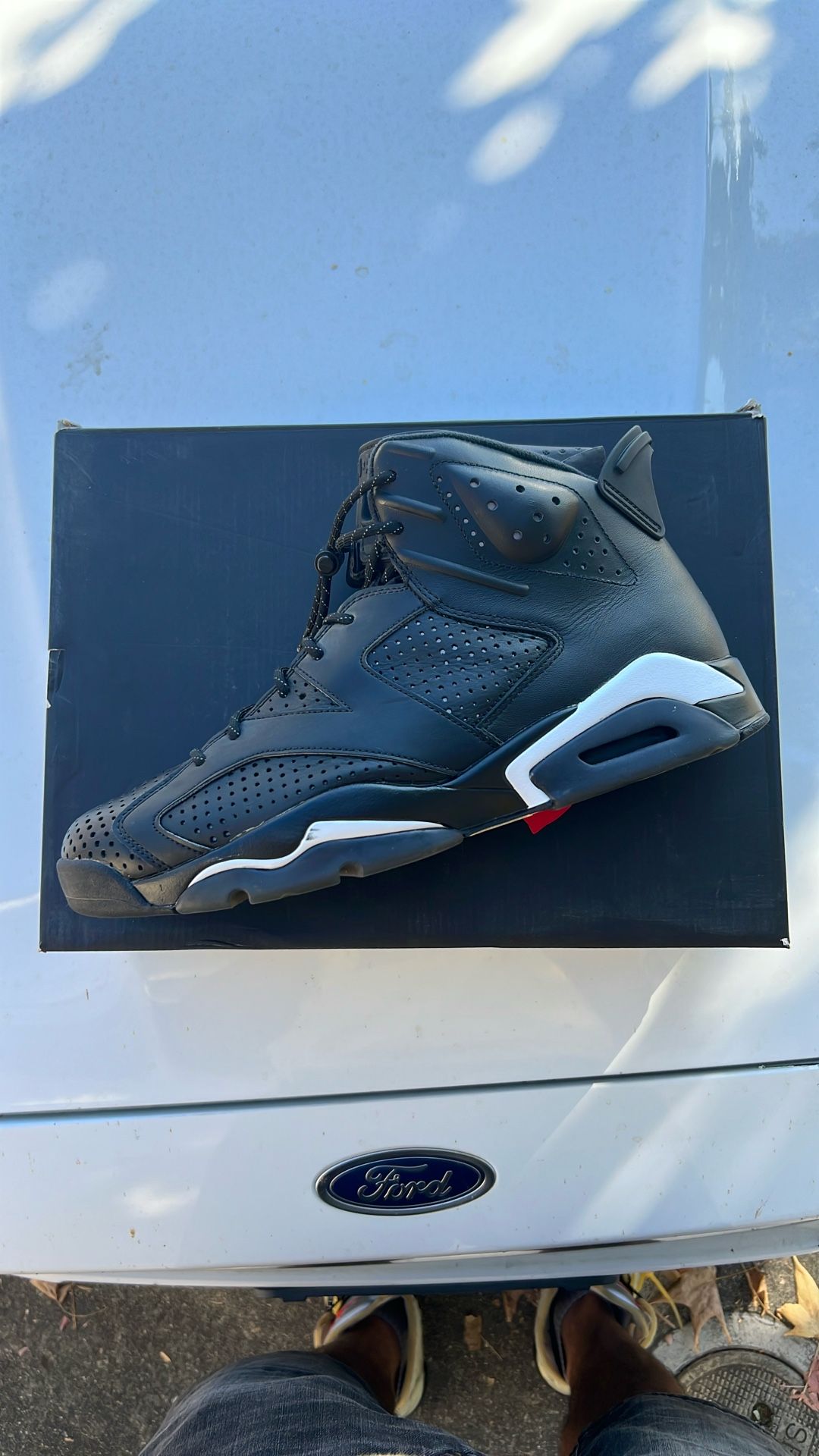 Jordan 6 Black Cat