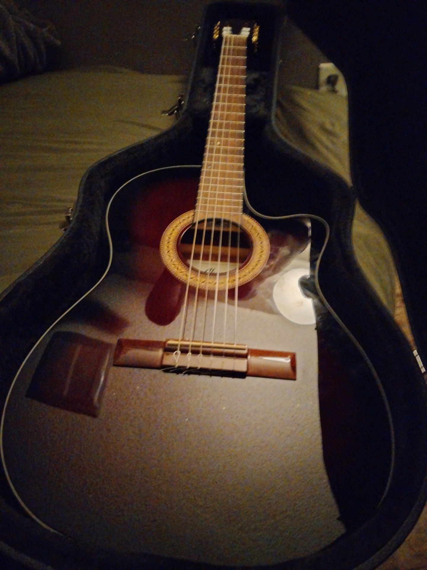 Ibanez Acoustic Electric Guitar
