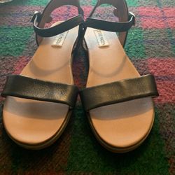 Steve Madden  Sandals 