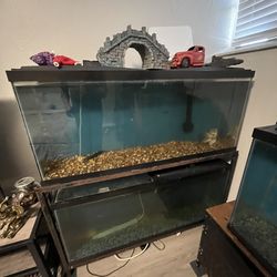 Two Fish Tank with the stand and fish inside
