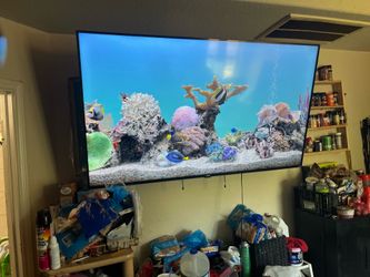 65 inch tv
