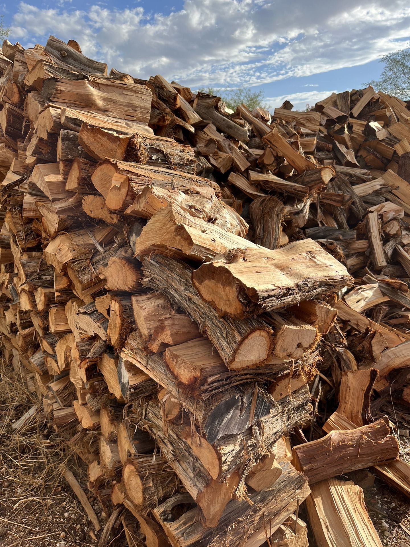 Firewood