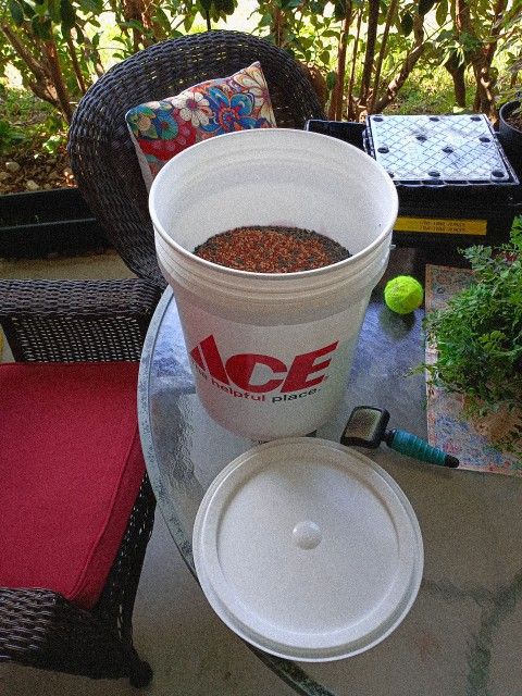 Bucket Of Bird Seed