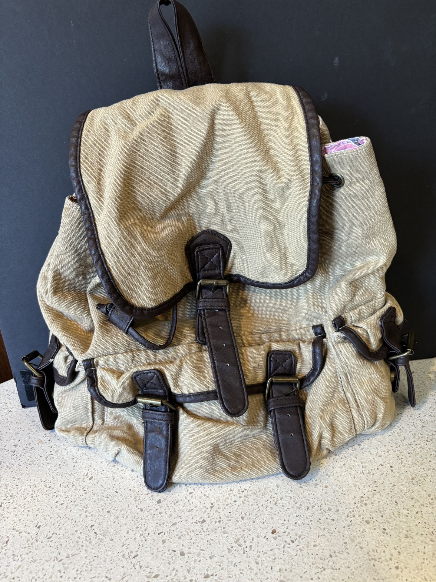 Brand New Backpack/ Bag