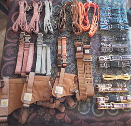 Leash Collars Harness Pet Supplies Dogs Cats Animals Grooming Outdoors Entertainment
