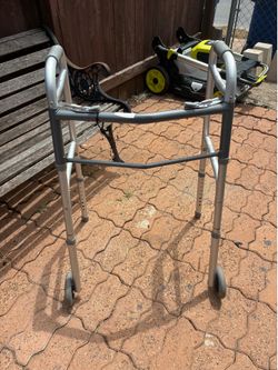 Adult walker $20