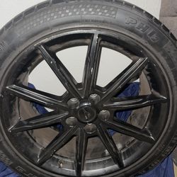 PP1 MUSTANG 2018 Eco