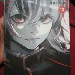 Tokyo Ghoul Re Vol 13