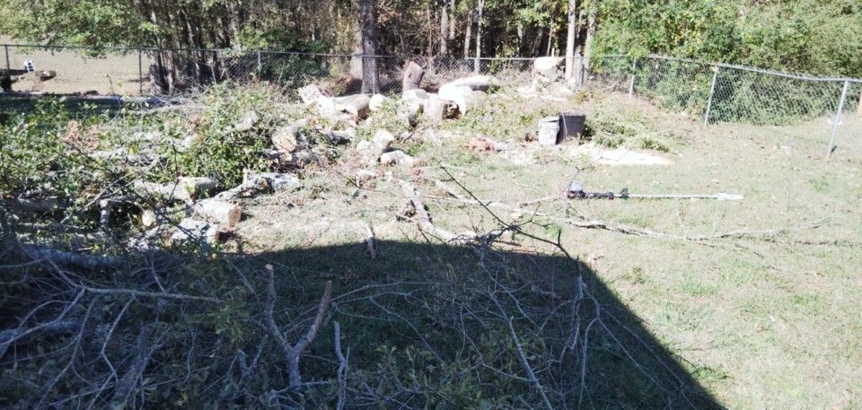 Tree Cut And Removal 