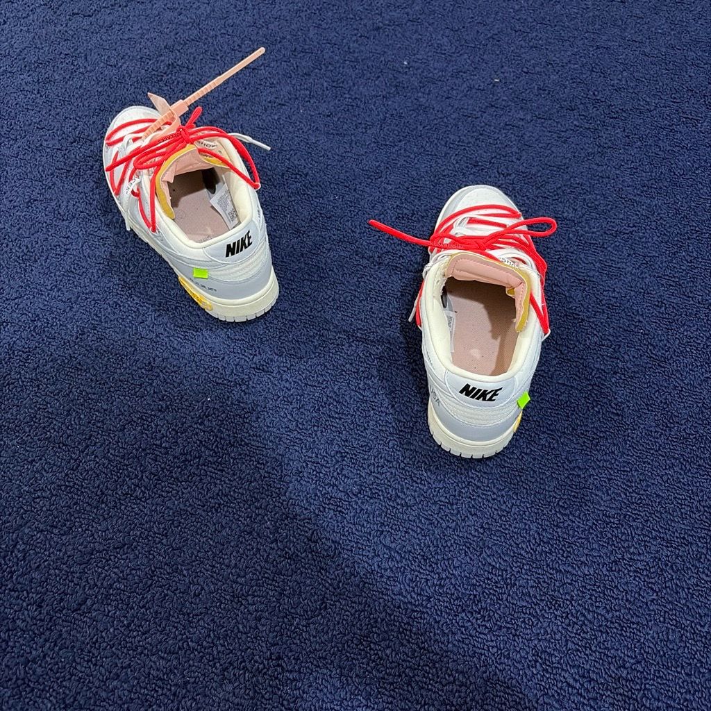 Dunks off white lot 6