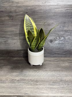 Faux Fake Snake Plant With Pot 16” Tall