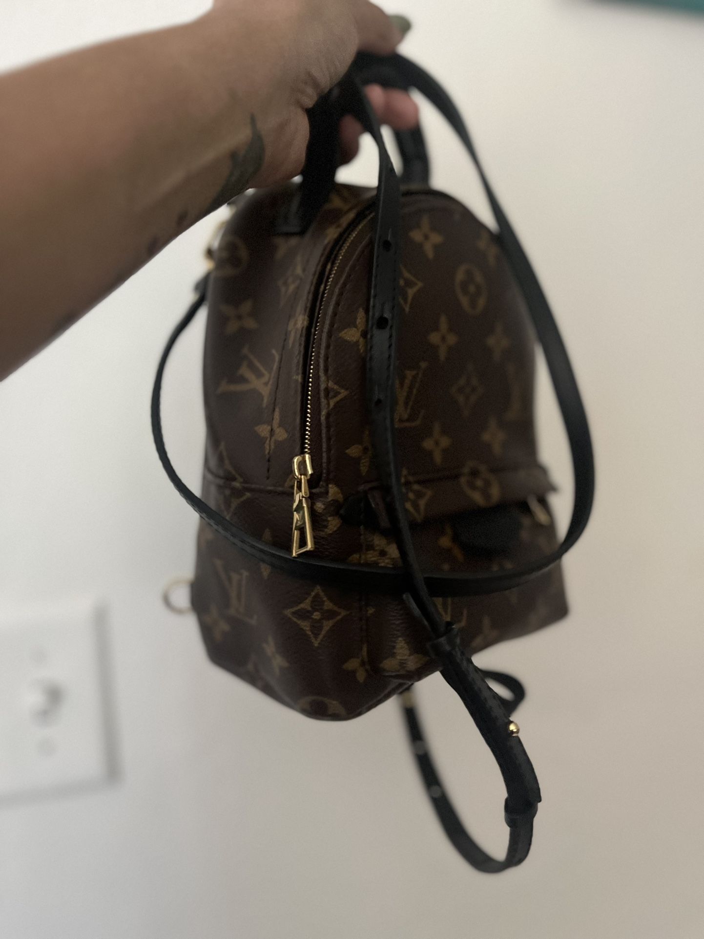 Louis Vuitton Palm Springs Mini